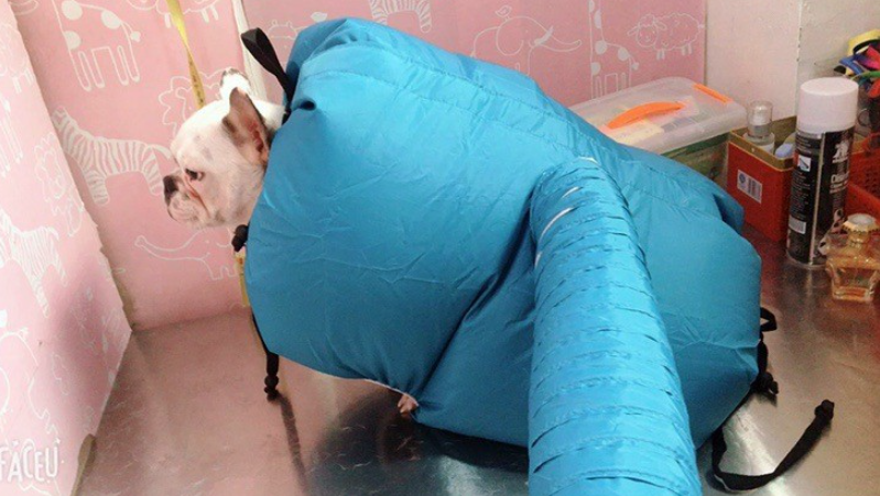 Boîte de séchage pour animaux Boutique Angenor avec sèche-cheveux et sac de séchage pour animaux domestiques.