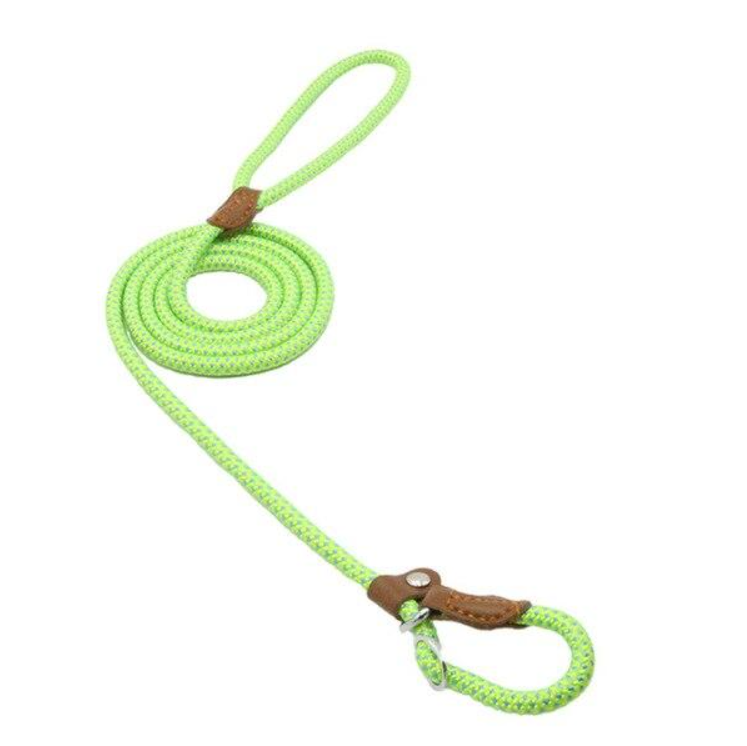 Ensemble nylon pour chien de Boutique Anenor, comprenant un harnais et une laisse assortis, en nylon résistant.