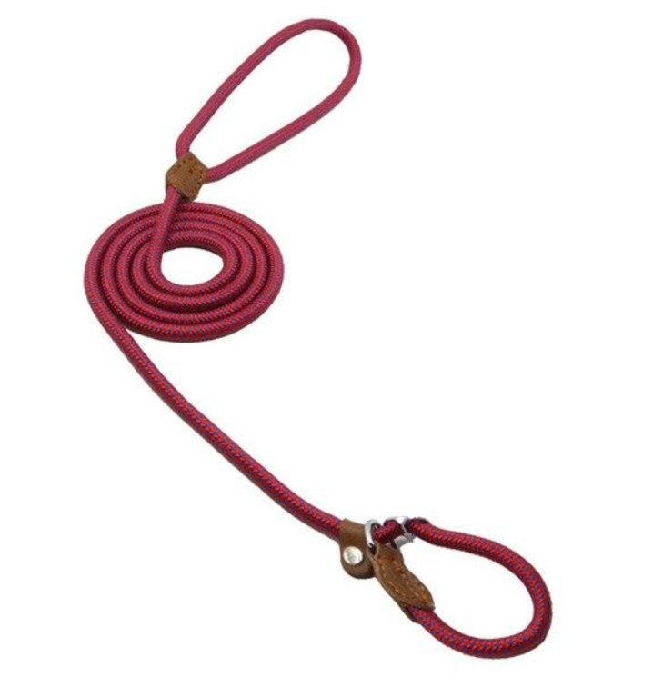 Ensemble nylon pour chien de Boutique Angenor, comprenant collier et laisse pour animaux de compagnie, en nylon noir et rouge.