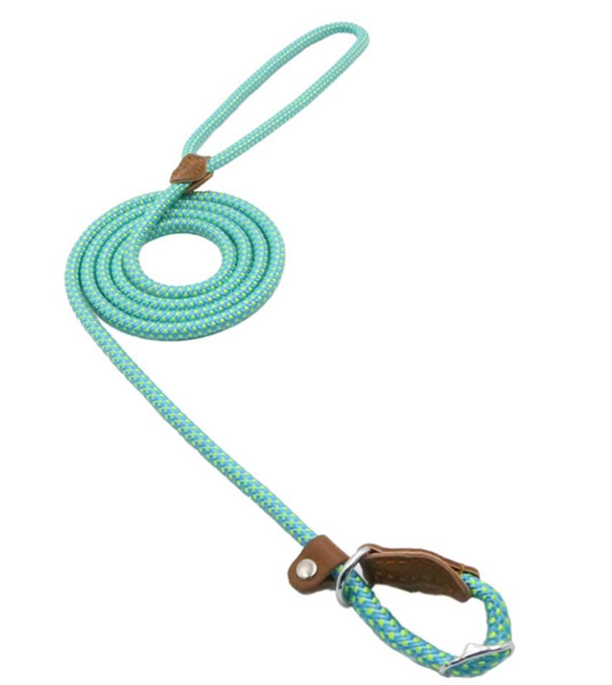 Ensemble en nylon pour chien de la marque Boutique Angenor, comprenant collier et laisse pour petit chien.