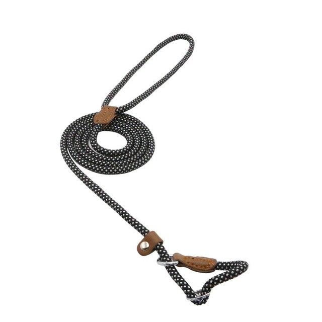 Ensemble en nylon pour chiot de la marque Boutique Angenor, comprenant un collier et une laisse assortis.