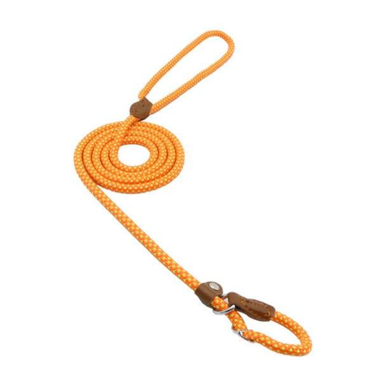 Ensemble en nylon pour chien de la marque Boutique Angenor, comprenant un harnais et une laisse pour chien.