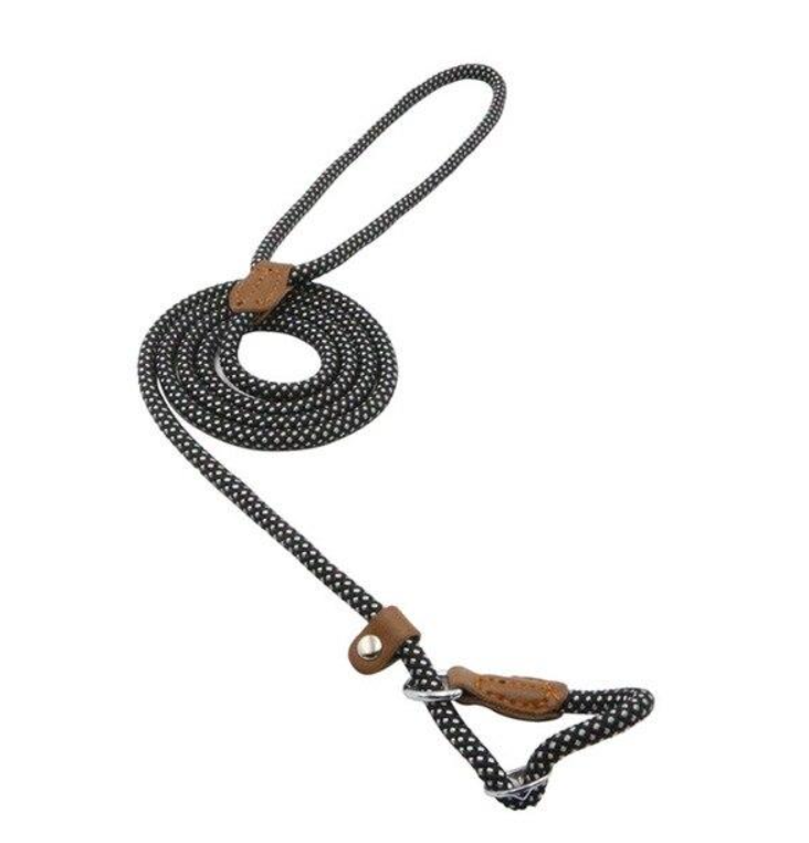 Ensemble en nylon pour chien de la marque Boutique Angenor, comprenant une laisse et un collier pour chien.