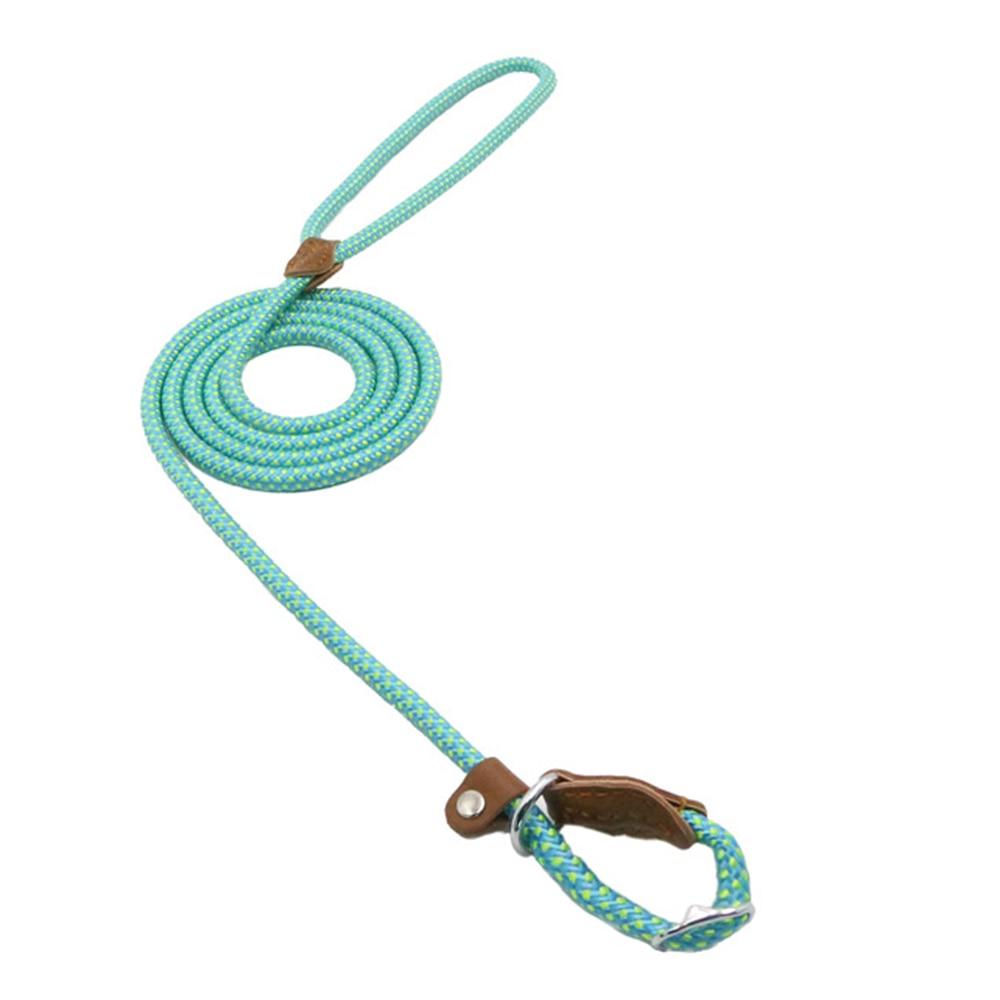 Ensemble en nylon pour chien de Boutique Anenor, comprenant un harnais et une laisse assortis, visibles en image.