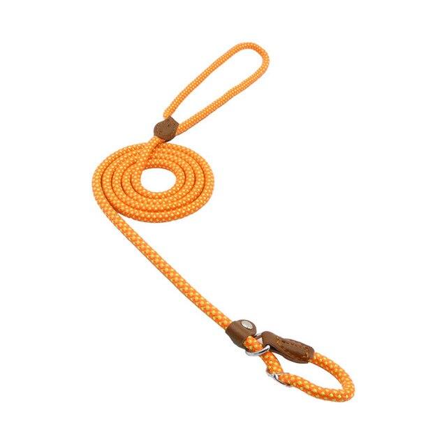 Ensemble nylon pour chien de Boutique Angenor, comprenant collier et laisse assortis pour animaux de compagnie.