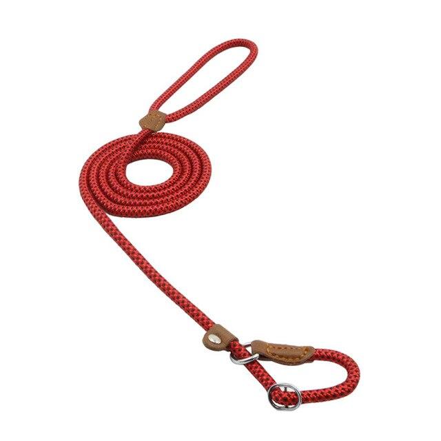Ensemble en nylon pour chien de la marque Boutique Anenor, comprenant un collier et une laisse assortis pour animaux.