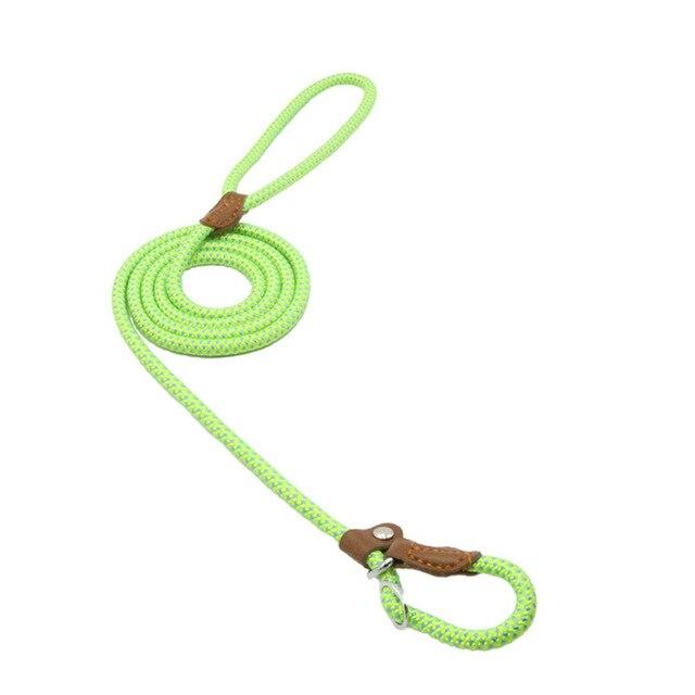 Ensemble nylon pour chien de la marque Boutique Angenor, comprenant collier et laisse pour animaux de compagnie.