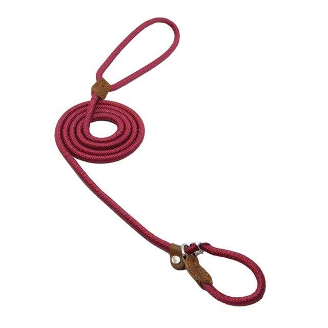 Ensemble nylon pour chien de la marque Boutique Angenor, comprenant un collier et une laisse pour animaux de compagnie.