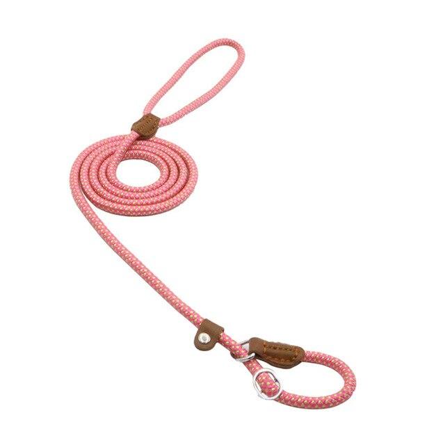 Ensemble nylon pour chien de la marque Boutique Angenor, comprenant une laisse et un collier pour animaux.
